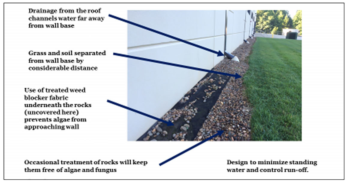 Algae Treatment