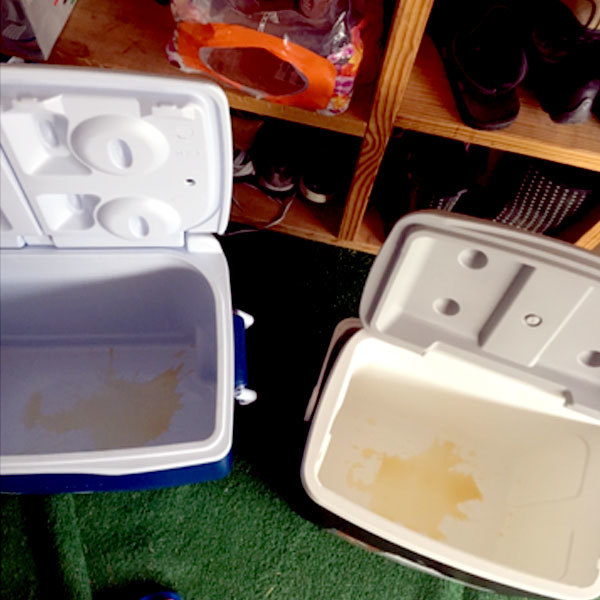 Rubbermaid Coolors 2